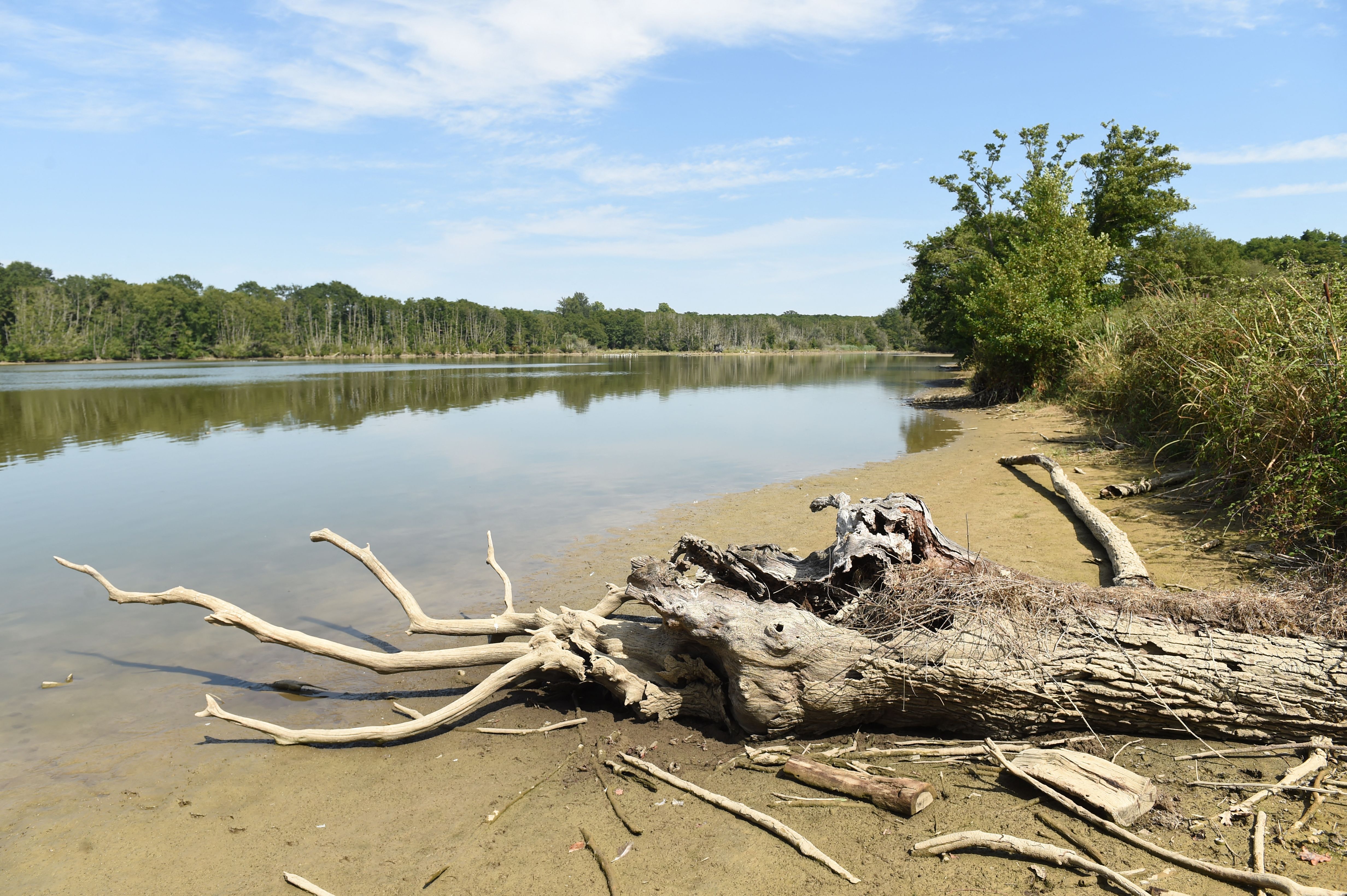 This photograph taken on August 9, 2025 shows a partially dried up pond near Aire-sur-Adour, in southwestern France.