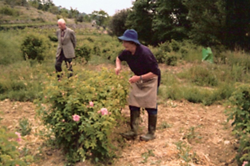 Hervé and Catherine collect the flowers at the Naÿssès.